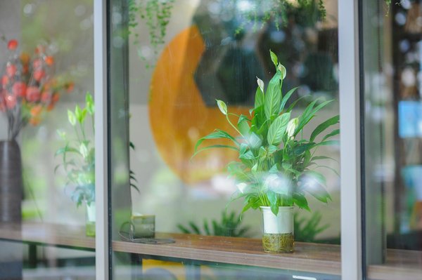 Les Avantages Inoubliables des Mentors pour les Jeunes Issus de Milieux Défavorisés